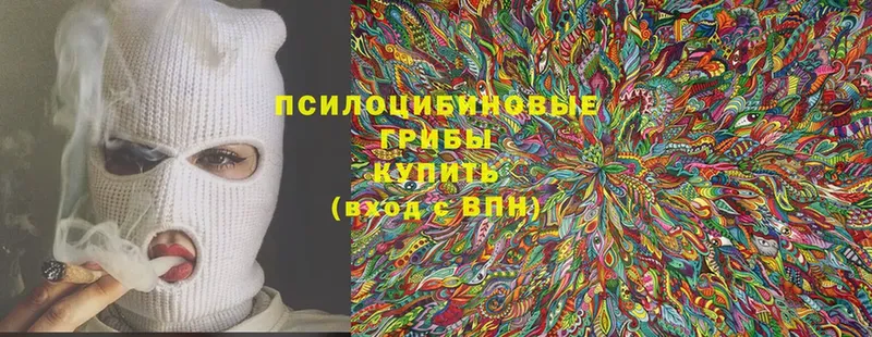 Галлюциногенные грибы Cubensis  Сорочинск 